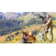 Field Optics Research ProMax Ultra Tripod, Carbon Fiber, FT6841C