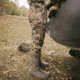 First Lite 308 Whitetail Pants - Mens