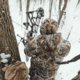 First Lite Thermic Insulated Jacket - Mens
