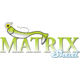 Fitzgerald Fishing Matrix Shad Series Rods, Medium Spinning, Aqua, 7ft0in, MS70MS