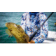 Fitzgerald Fishing Stunner X Series Offshore Rods, X Heavy Conventional, Black, 6ft6in, STX66XH