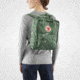 Fjallraven Kanken Art, Green Fable, F23610-976-