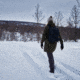 Fjallraven Karla Hydratic Jacket - Womens, Deep Forest, Large, F84122-662-L