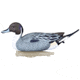 Flambeau Classic Pintail Decoy