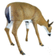 Flambeau Grazing Doe Decoy, Brown, 5967GD