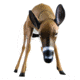 Flambeau Grazing Doe Decoy, Brown, 5967GD