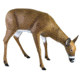 Flambeau Grazing Doe Decoy, Brown, 5967GD