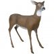 Flambeau Master Series Decoy, Boss Babe Deer, 5965MD
