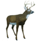 Flambeau Master Series Decoy, Boss Buck Deer 5965MS