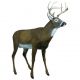 Flambeau Master Series Decoy, Boss Buck Deer, 5965MS