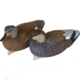 Flambeau Master Series Gadwall Floater Decoys, 6 pack, 1409649