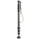Gitzo Carbon Monopod Ser.2 4S GM2542