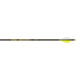 Gold Tip Hunter Arrows 400514