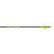 Gold Tip Hunter Arrows 400514