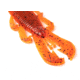 Googan Squad Bandito Bug, 4in, Flamin Hot, GBB-FLM