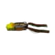Googan Squad Poppin' Filthy Frog Hollow Body Bait, Bullfrog, 2.5, 10-50-GGS-10001B