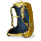 Gregory 24 Liters Juno Daypack, Mineral Yellow, One Size, 126897-1561