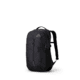 Gregory Terros 25L Backpack