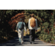 Gregory Terros 28L Backpack
