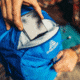 Gregory Miwok 18 Daypack - Mens, Reflex Blue, 111480-0602