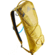 Gregory Pace 3L H2O Pack - Womens, Mineral Yellow, One Size, 143373-1561