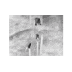 Guide USA TN series LRF TN630 2.0-16x30mm Thermal Binocular, 640x480, Black, TN630LRF