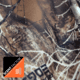 Habit Summit Park Performance Hoodie - Mens, RealTree Edge, Large, PH10005-922-L