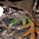 Habit Summit Park Performance Hoodie - Mens, RealTree Edge, Large, PH10005-922-L
