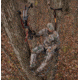 Hawk Treestands Helium Kickback LVL Hang-On Tree Stand, HWK-HF2033