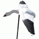 USED Heavy Hauler Outdoor Gear Goose Motion/Flyer Decoy, Snow Goose HH0091-SG, EDEMO3