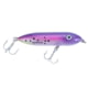 Heddon Super Spook Boyo Topwater Walking Bait, 3in, 3/8 oz, Speck' Magic, X9235534