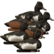 Higdon Outdoors 19483 Standard Ringneck Species Multi Color Foam Filled 6 Pack
