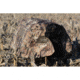 Higdon Outdoors 34018 Invisi-Lab Dog Blind Optifade Marsh 31 X 24 X 21