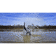 Higdon Outdoors 50534 XS Pulsator Pintail Black/Gray Rechargeable 12V Li-ion Pinta