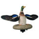 Higdon Outdoors 53072 XS Floating Flasher Mallard Drake Species Multi Color