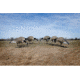Higdon Outdoors Alpha Magnum Full-Body TruFeeder Pack Decoy, Canada, 71246