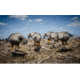 Higdon Outdoors APEX Full-Size Full-Body Feeder Pack Decoy, Specklebelly, 6 Pack, 72546
