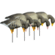 Higdon Outdoors APEX Full-Size Full-Body Feeder Pack Decoy, Specklebelly, 6 Pack, 72546