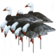 Higdon Outdoors APEX Full-Size Full-Body Variety Pack Decoy, 8 Pack, Blue, 72438