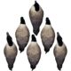Higdon Outdoors APEX Full-Size Full-Body Variety Pack Decoy, Canada, 6 Pack, 72237