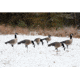 Higdon Outdoors APEX Full-Size Full-Body Variety Pack Decoy, Canada, 6 Pack, 72237