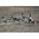 Higdon Outdoors APEX Full-Size Full-Body Variety Pack Decoy, Canada, 6 Pack, 72237