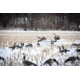 Higdon Outdoors APEX Full-Size Full-Body Variety Pack Decoy, Canada, 6 Pack, 72237