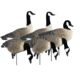 Higdon Outdoors APEX Full-Size Full-Body Variety Pack Decoy, Canada, 6 Pack, 72237