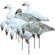 Higdon Outdoors APEX Full-Size Full-Body Variety Pack Decoy, Snow/Juvenile, 72338