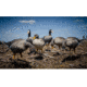 Higdon Outdoors APEX Full-Size Full-Body Variety Pack, Specklebelly, 72536