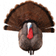 Higdon Outdoors APEX Strutter Hard Body Turkey, Lifesize, 63148