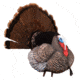 Higdon Outdoors APEX Strutter Hard Body Turkey, Lifesize, 63148