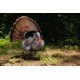 Higdon Outdoors APEX Strutter Hard Body Turkey, Lifesize, 63148