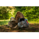 Higdon Outdoors APEX Strutter Hard Body Turkey, Lifesize, 63148